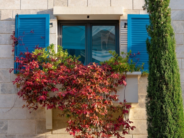 Bezpieczeństwo Opieka Zaufanie. Zakup nieruchomości