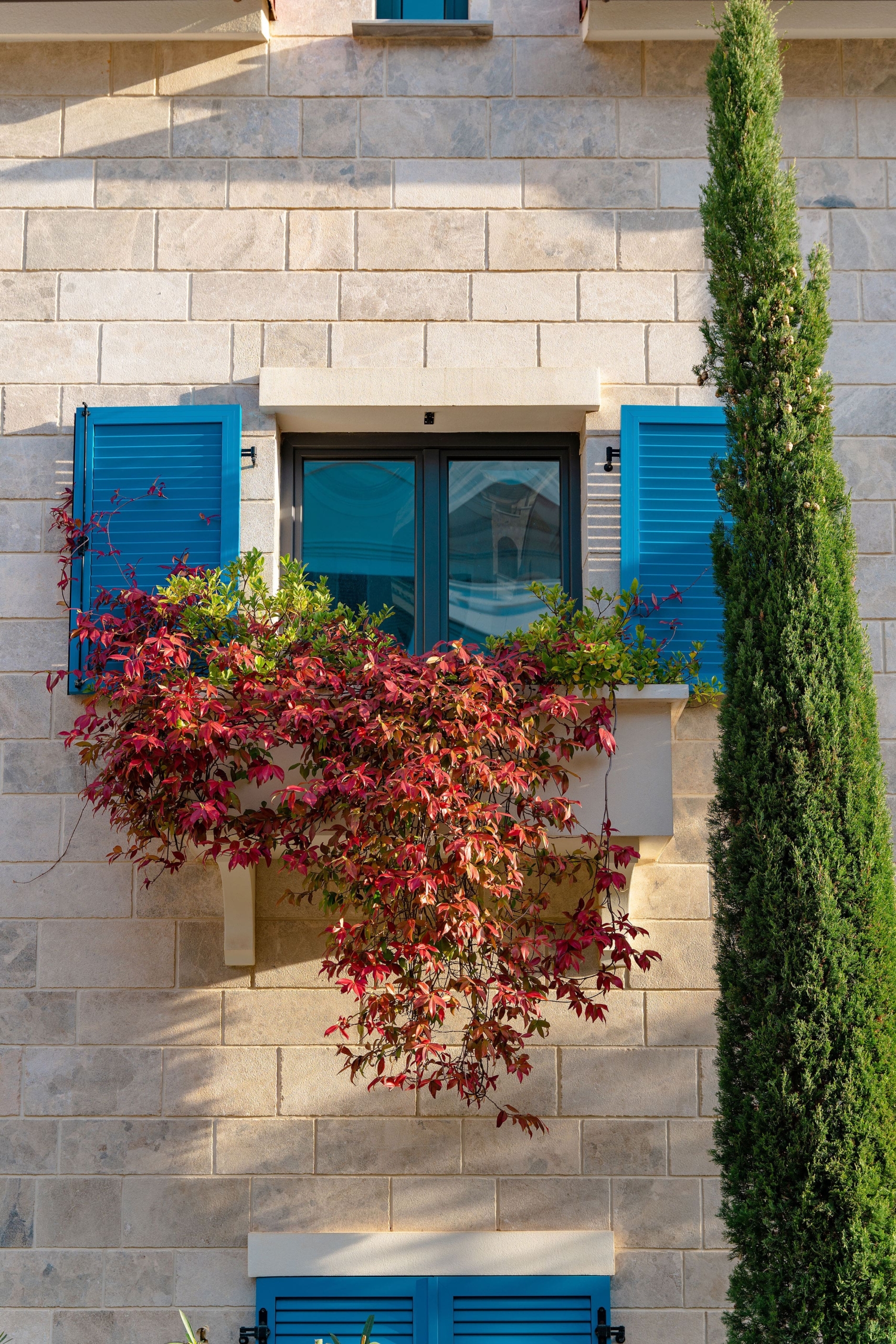 Na co uważać kupując …